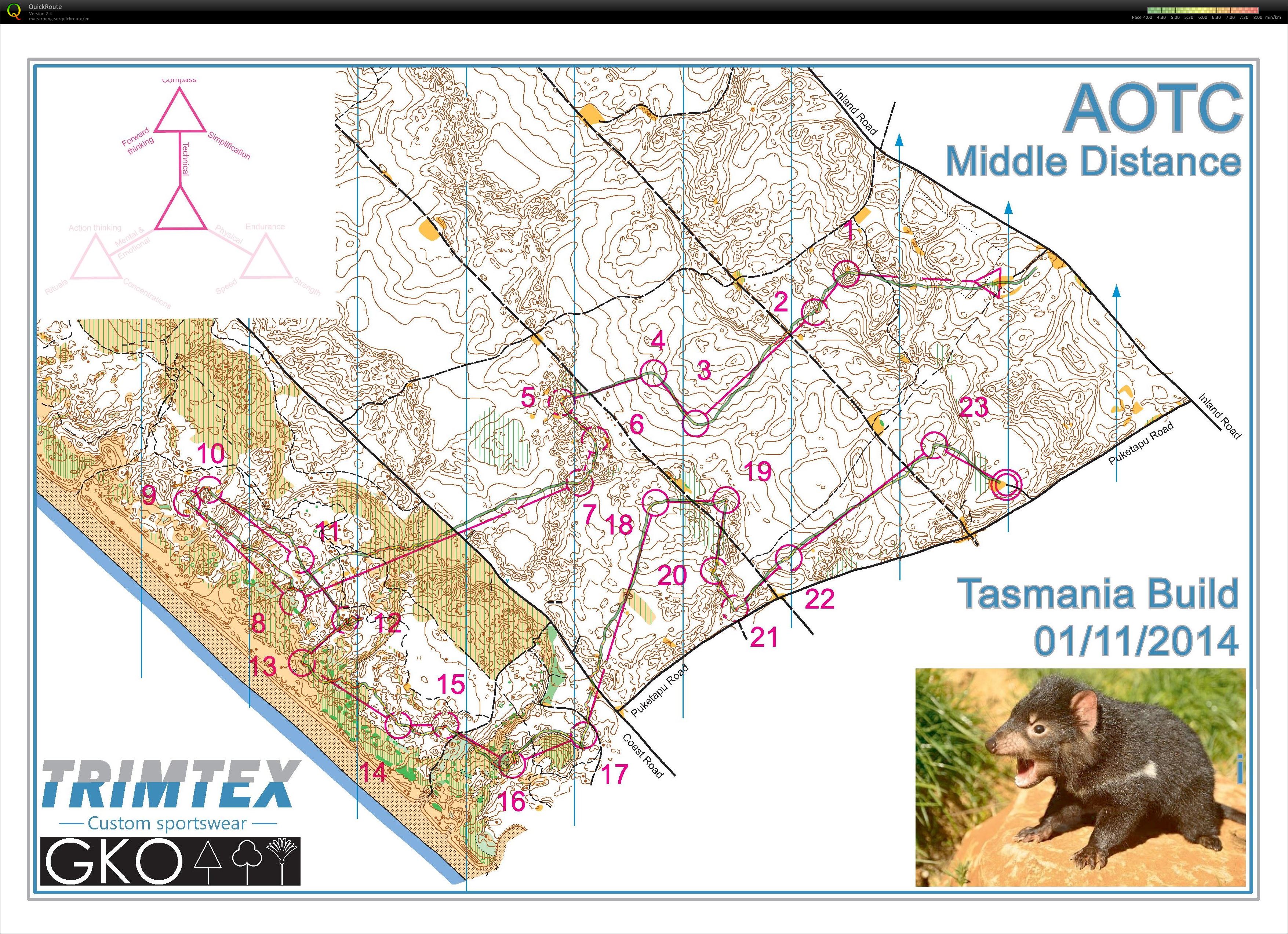 Middle Distance Training (01.11.2014)