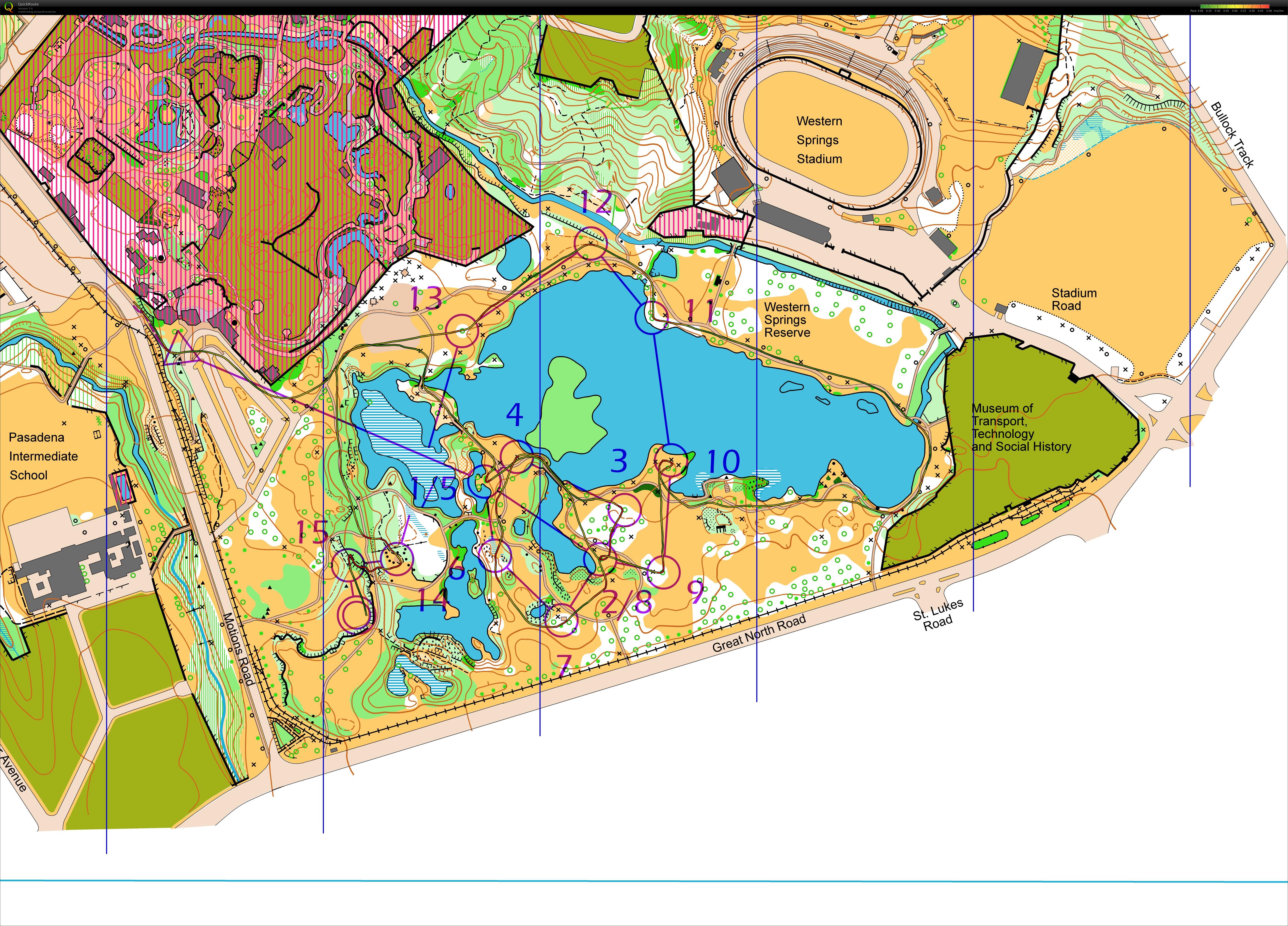 Western Springs Chasing Start (31/01/2015)