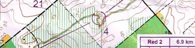 Auckland Orienteering Series 6