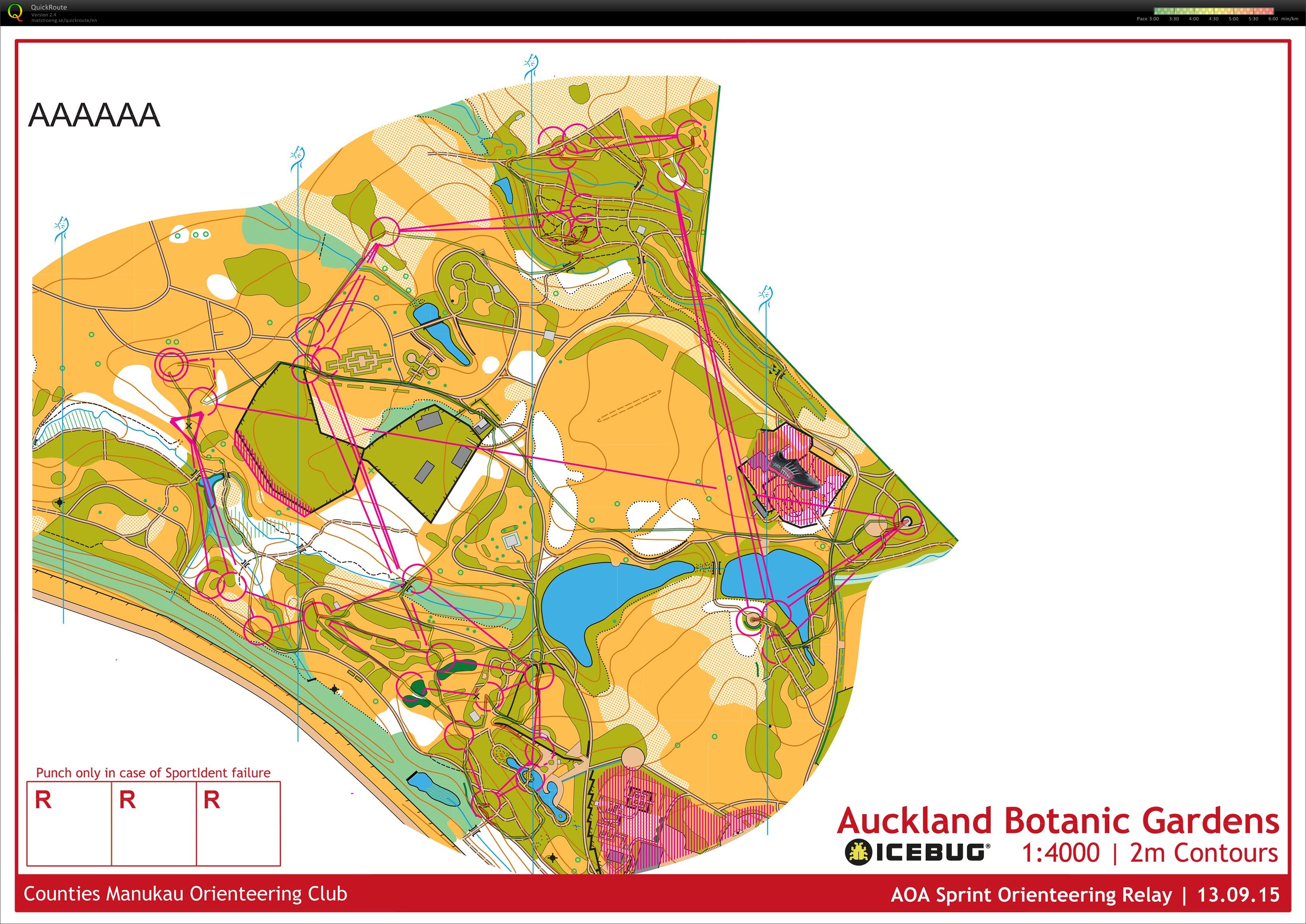 AOA Relay Champs (12-09-2015)