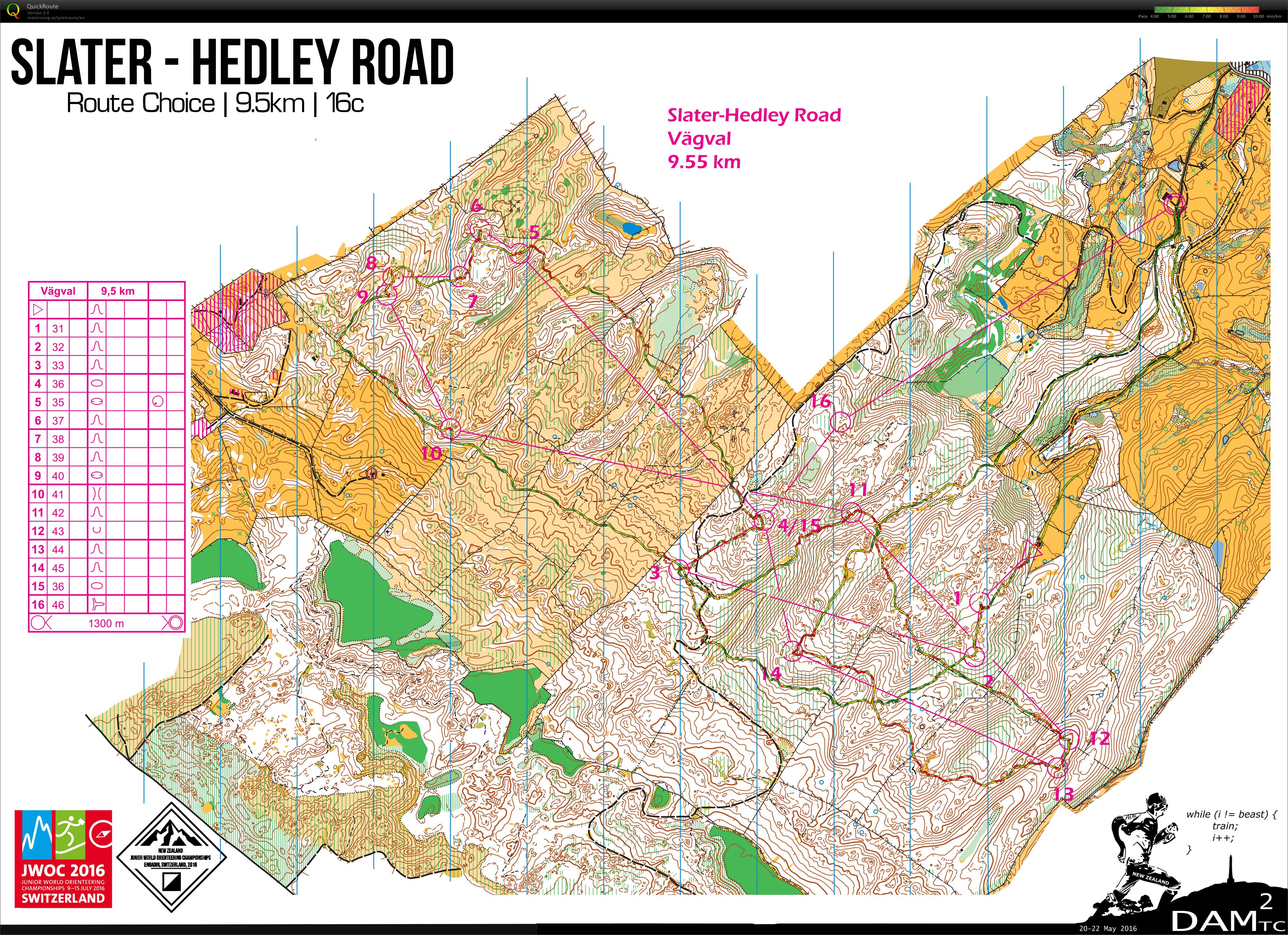 DAM^2 TC Route Choices (2016-05-20)