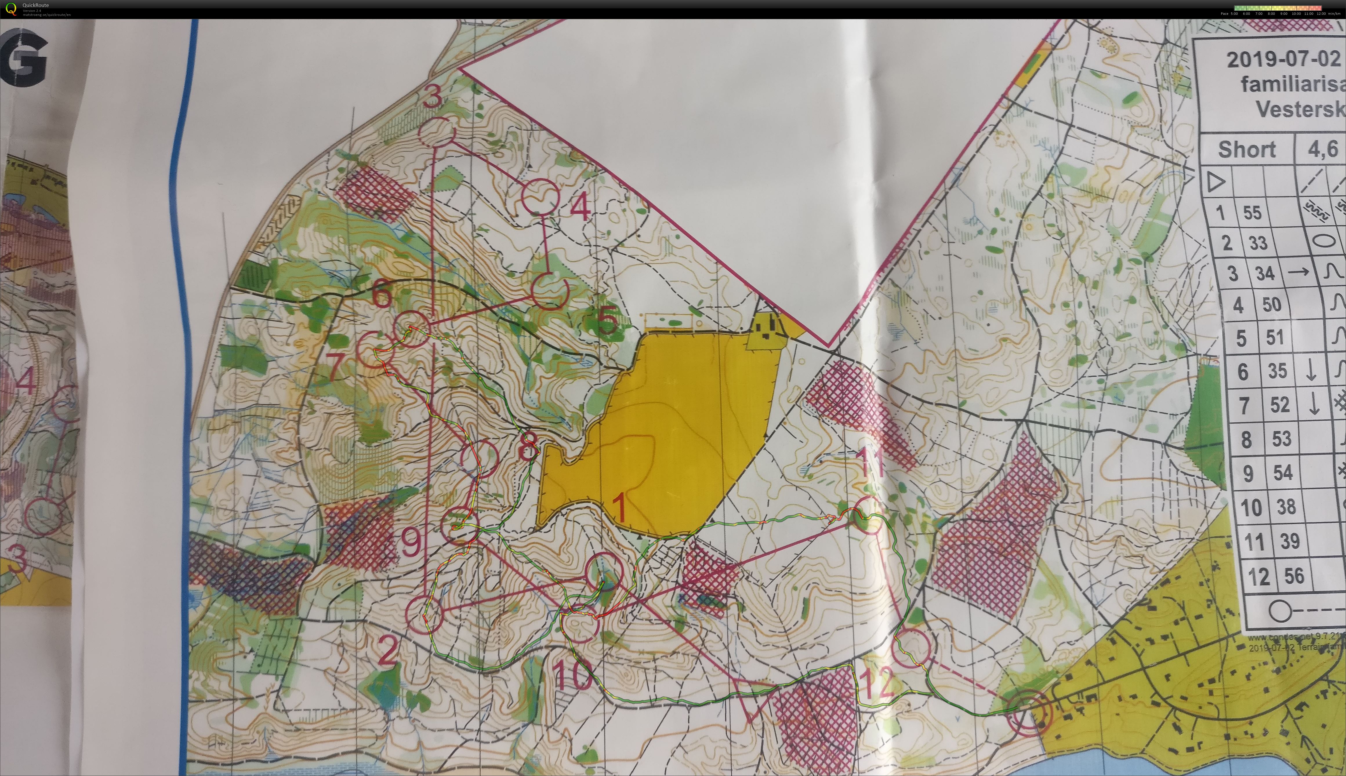 JWOC Terrain Familiarisation 2 (02/07/2019)