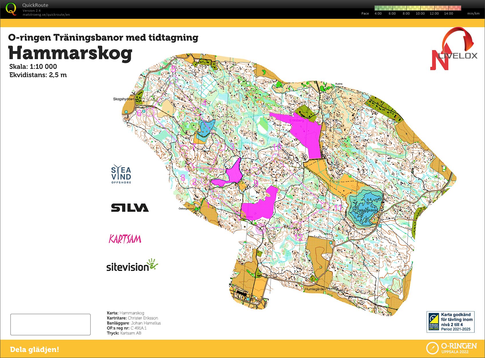 O-Ringen Training (22.07.2022)