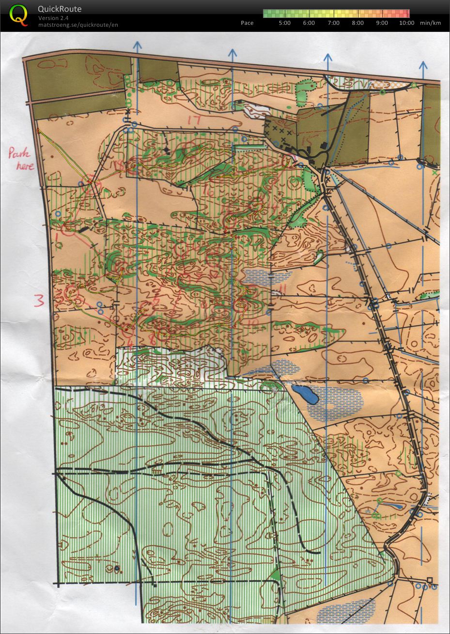 Queens B'day Training Camp - Micro Route Choice (05.06.2012)