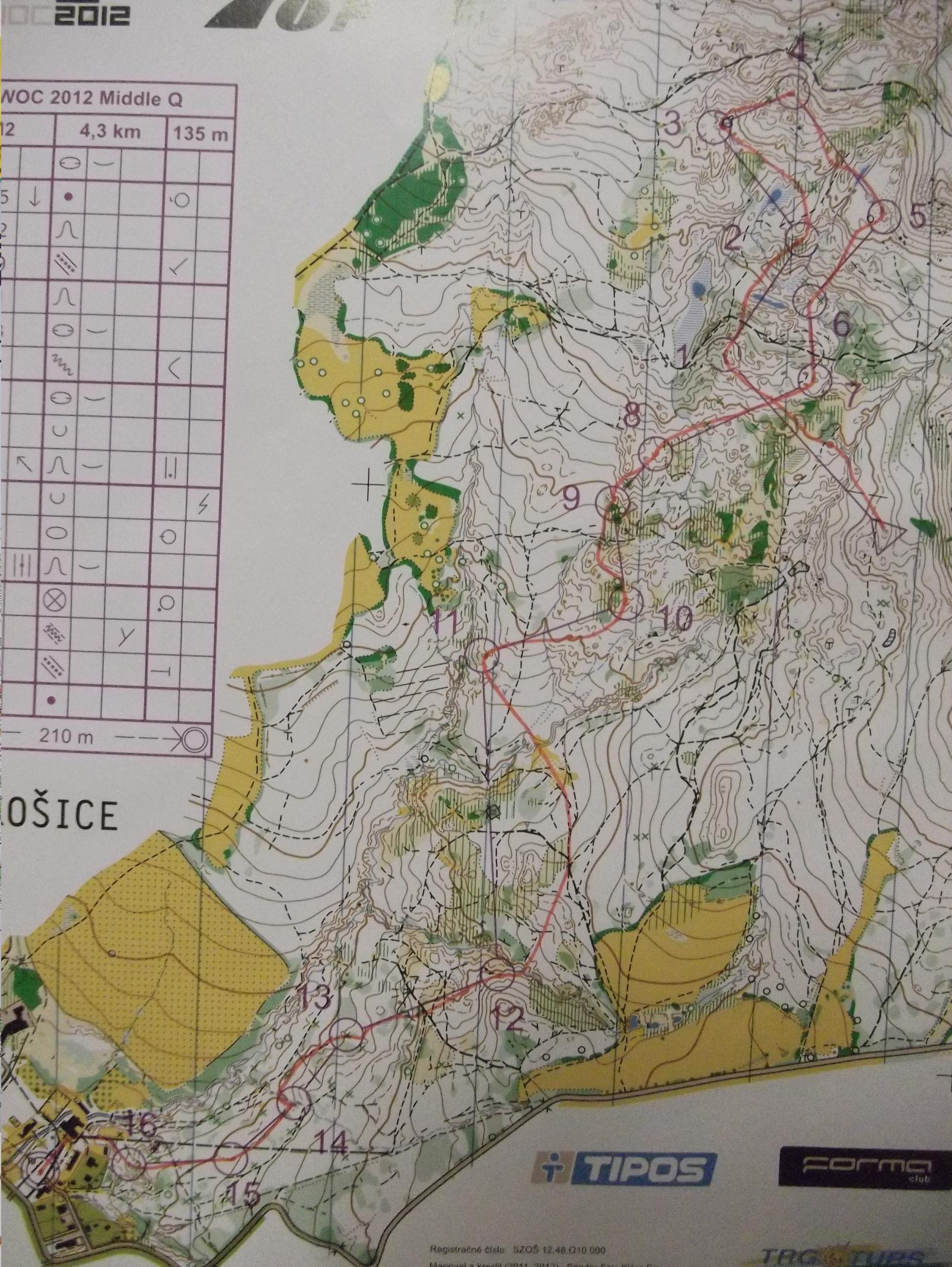 JWOC Middle Distance Qualification (11-07-2012)