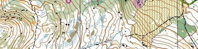 Ramsåsen Race Simulation