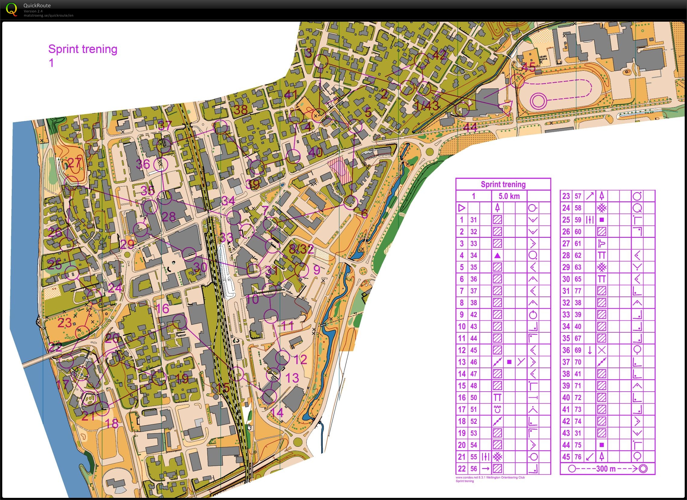 Sprint trening (07.01.2013)