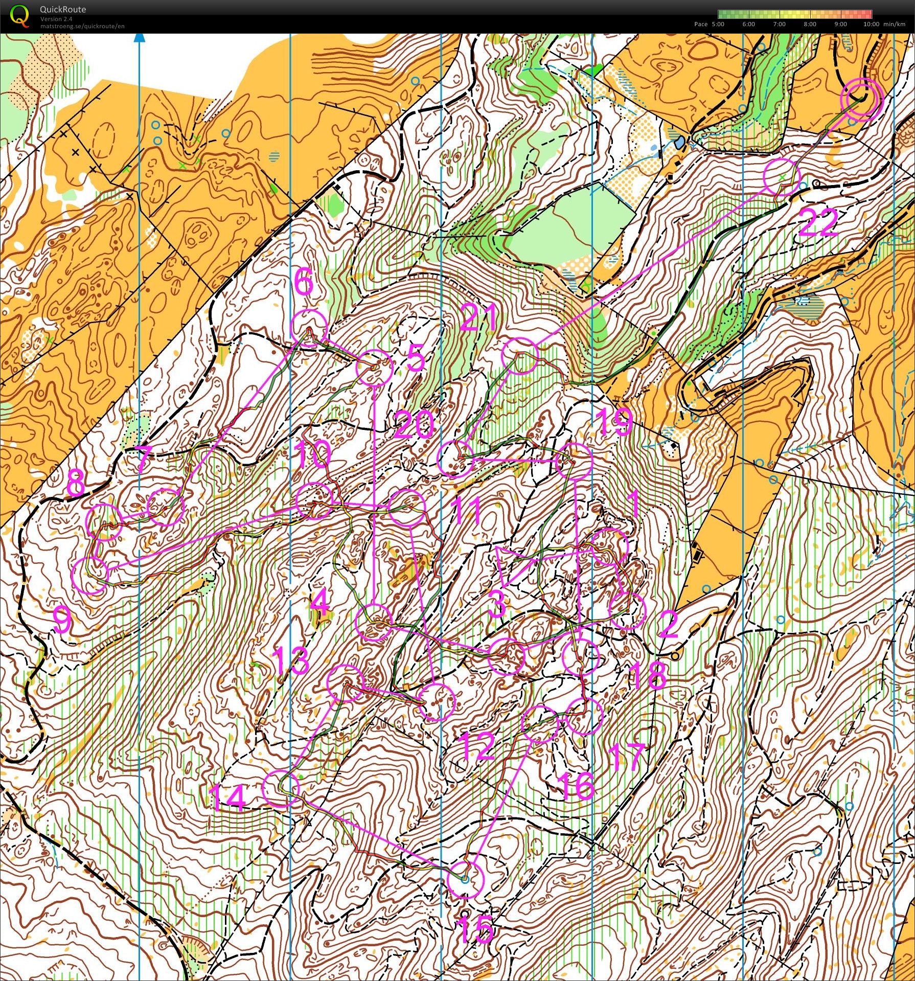 Middle Distance Training (11.04.2013)