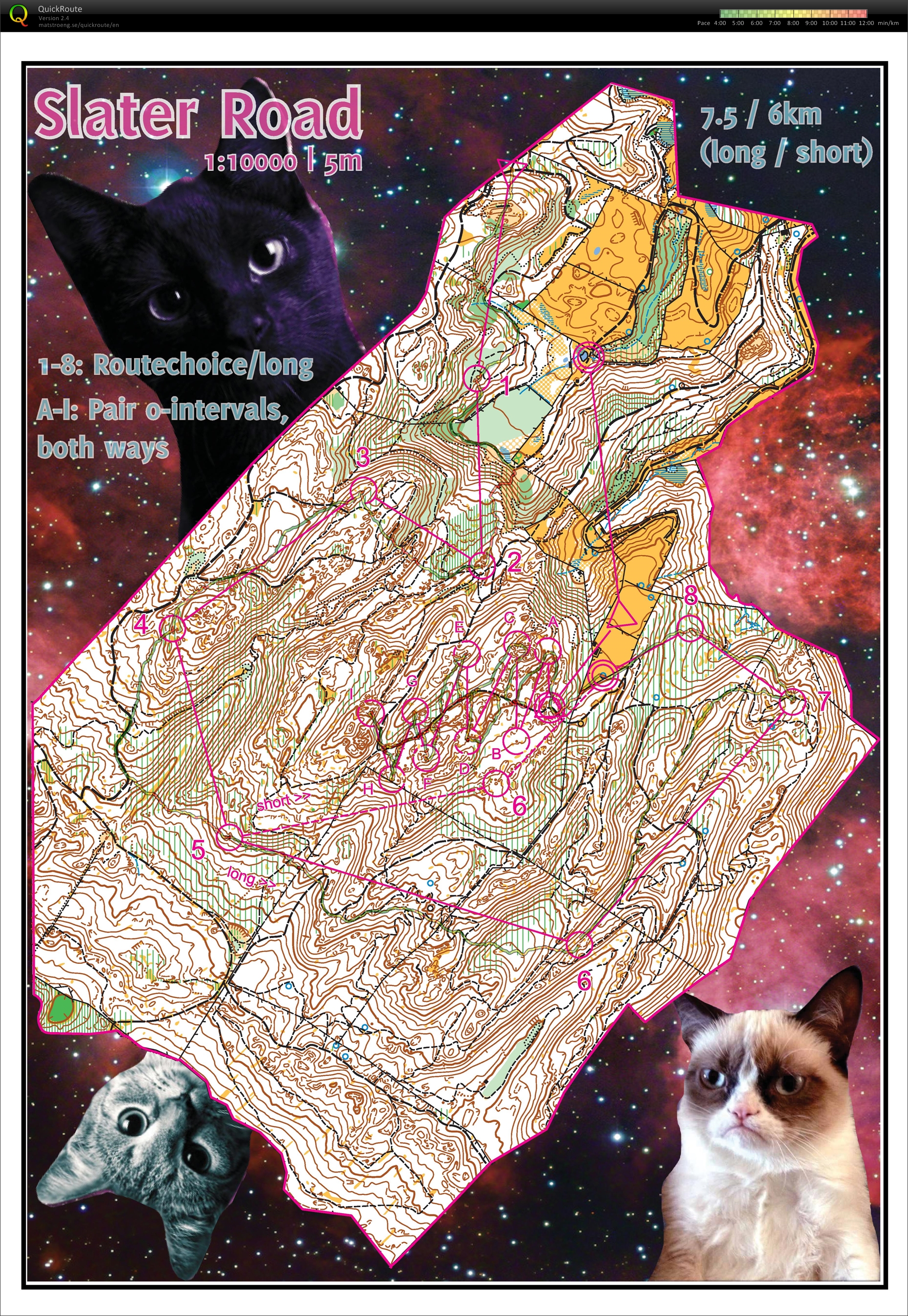 Space Cats (2014-04-26)
