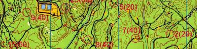 MtBO Weekend - Rogaine