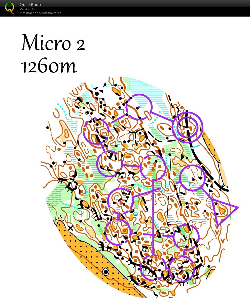 Micro 2 (11-06-2023)